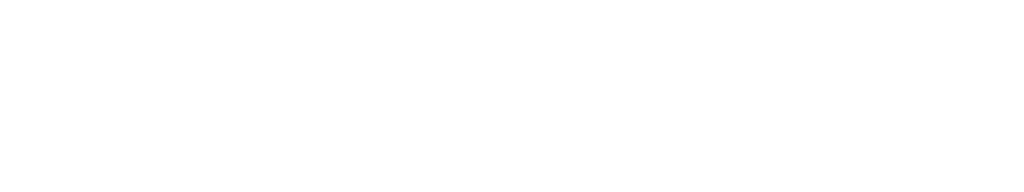 logo full white